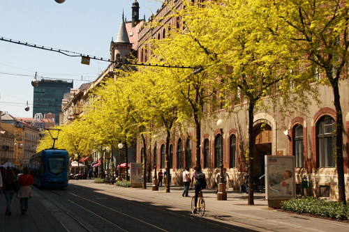 f0039021_1573643.jpg