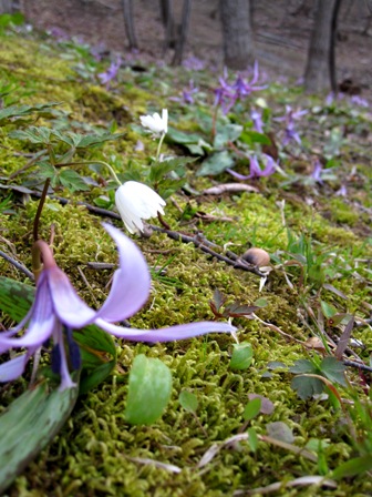 c0124322_13463730.jpg