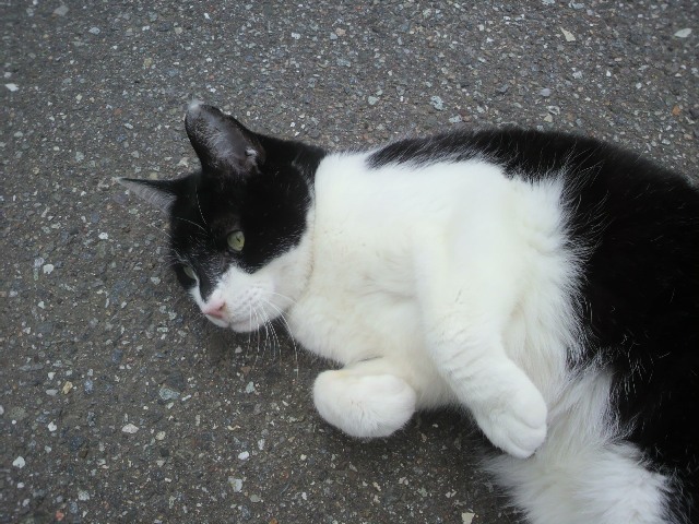 e0123322_10575722.jpg