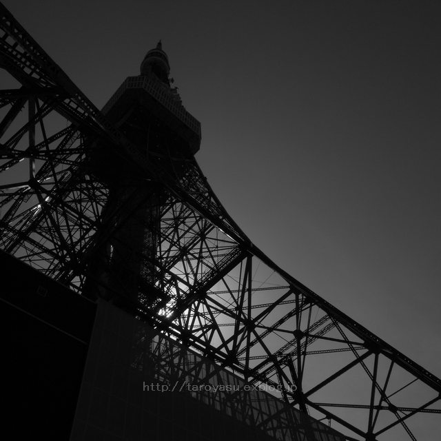 f0218023_5511075.jpg