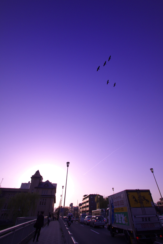 f0004525_2154468.jpg
