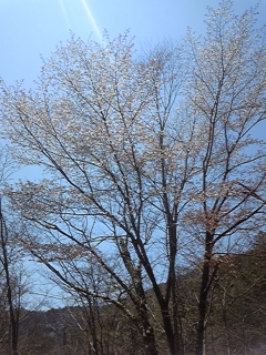 a0126128_16124896.jpg