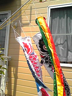 c0176530_20384410.jpg