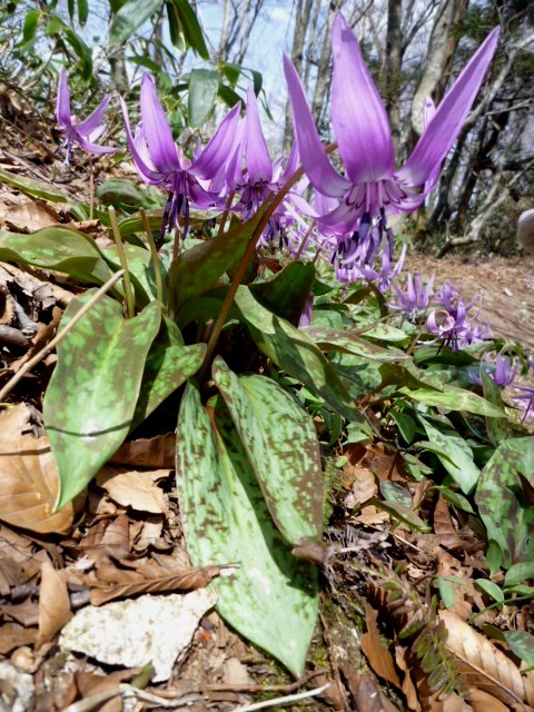 d0075131_1375056.jpg