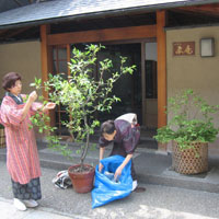d0033734_2344553.jpg
