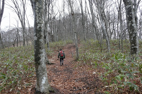 f0003138_1722492.jpg
