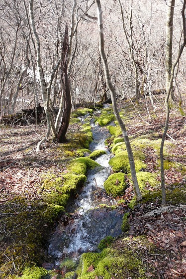 f0003138_17312217.jpg