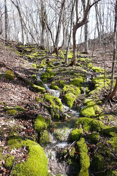 f0003138_17382674.jpg