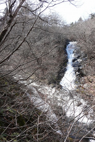 f0003138_17463598.jpg