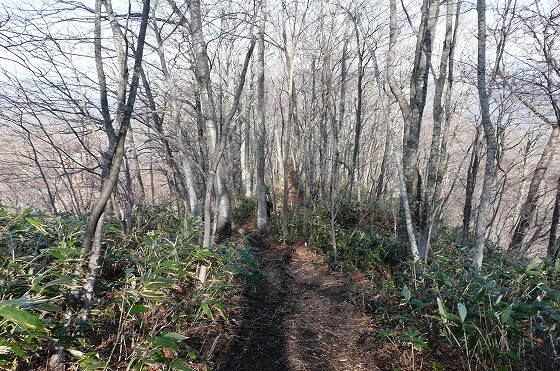 f0003138_17532780.jpg