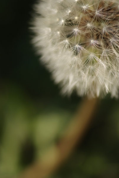 b0075541_1514775.jpg