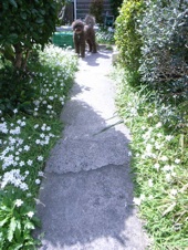 f0202242_01780.jpg