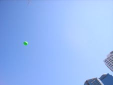 f0202242_2025557.jpg