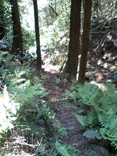 c0059543_12474991.jpg