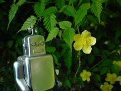 e0005548_23545288.jpg