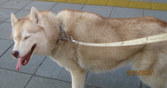 e0121548_20301041.jpg
