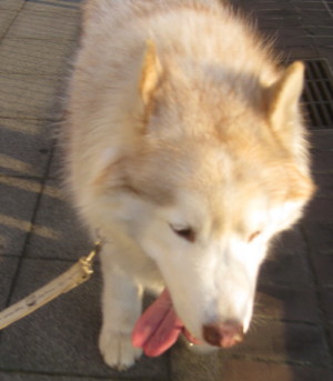 e0121548_2032142.jpg