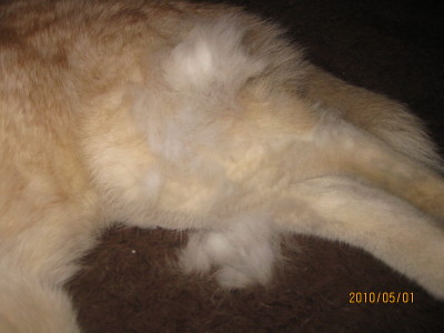e0121548_20371051.jpg