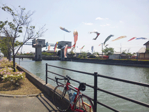 f0229250_21152062.gif
