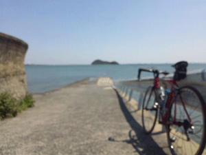 f0229250_21155912.gif