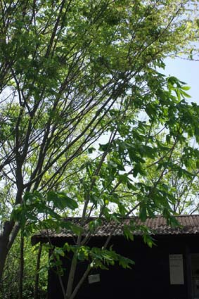 d0131851_11434747.jpg