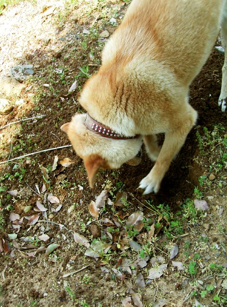 c0091055_22184885.jpg