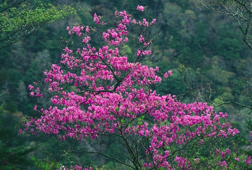 f0231460_854872.jpg
