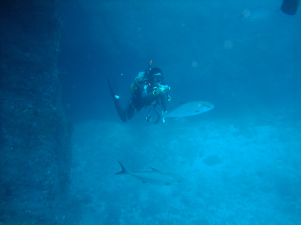 b0062363_20114886.jpg