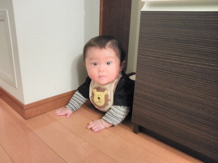 b0145863_0364620.jpg