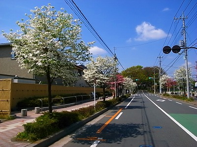 b0180764_1173930.jpg