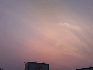 e0134264_15325214.jpg