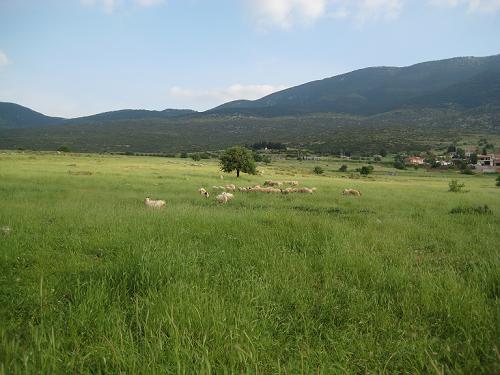 f0037264_683798.jpg