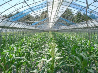 f0055264_23452634.jpg