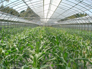 f0055264_23461754.jpg