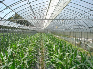 f0055264_23472330.jpg