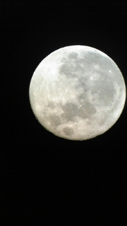 f0219565_731890.jpg