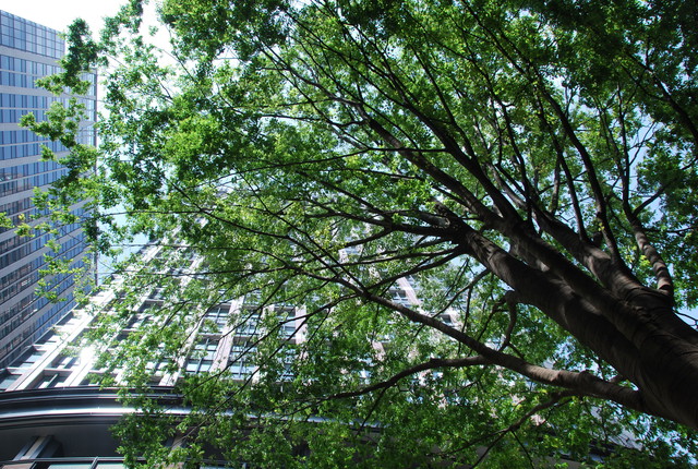 b0174068_22153343.jpg