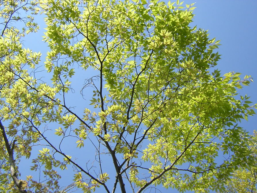 b0180968_9325631.jpg