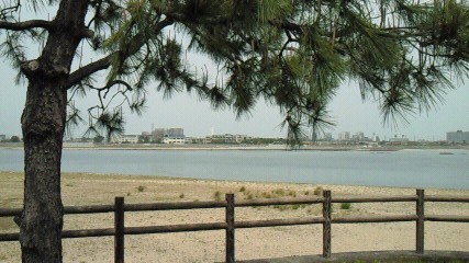 e0143671_15201622.jpg