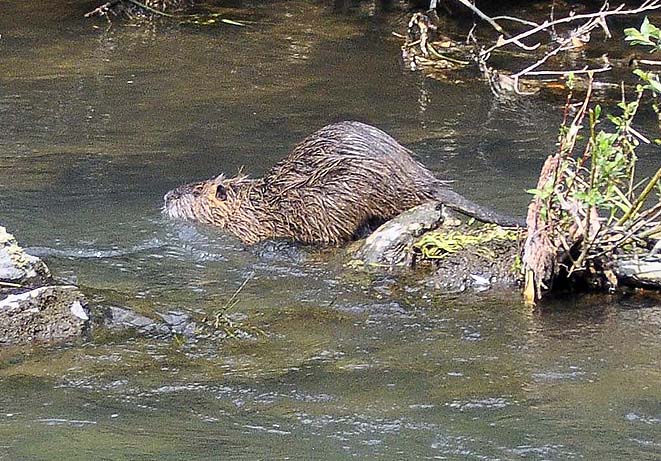 f0198771_129157.jpg
