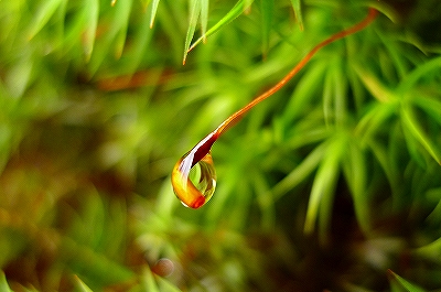 f0182173_10462193.jpg