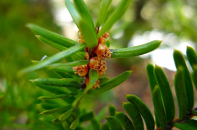 f0182173_10514052.jpg