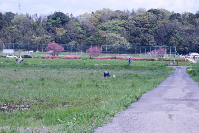 a0113874_7225181.jpg
