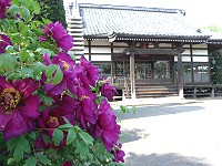 b0004675_18275370.jpg