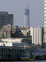 a0109476_23321844.jpg