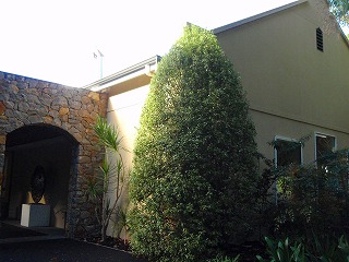 b0086476_1452426.jpg
