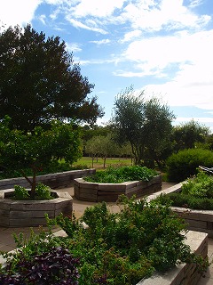 b0086476_14552623.jpg