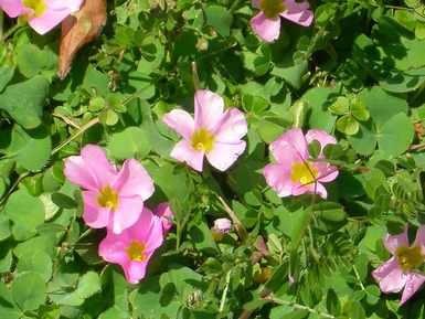 f0233876_10134179.jpg