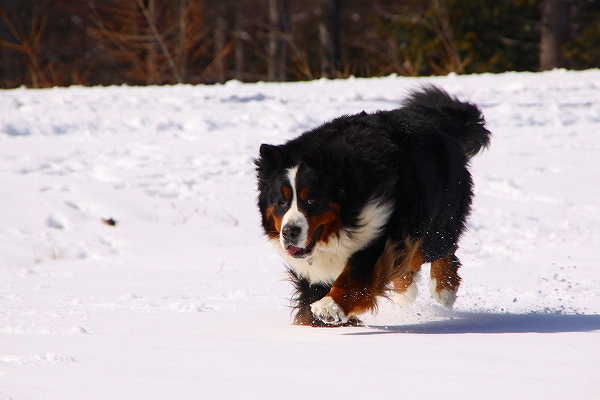c0149178_1201141.jpg