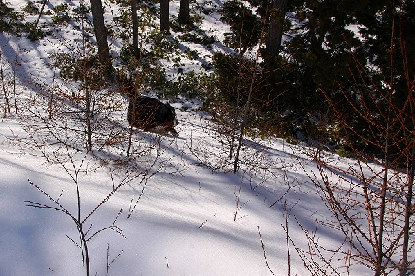 c0149178_172852.jpg